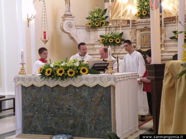 Foto 153